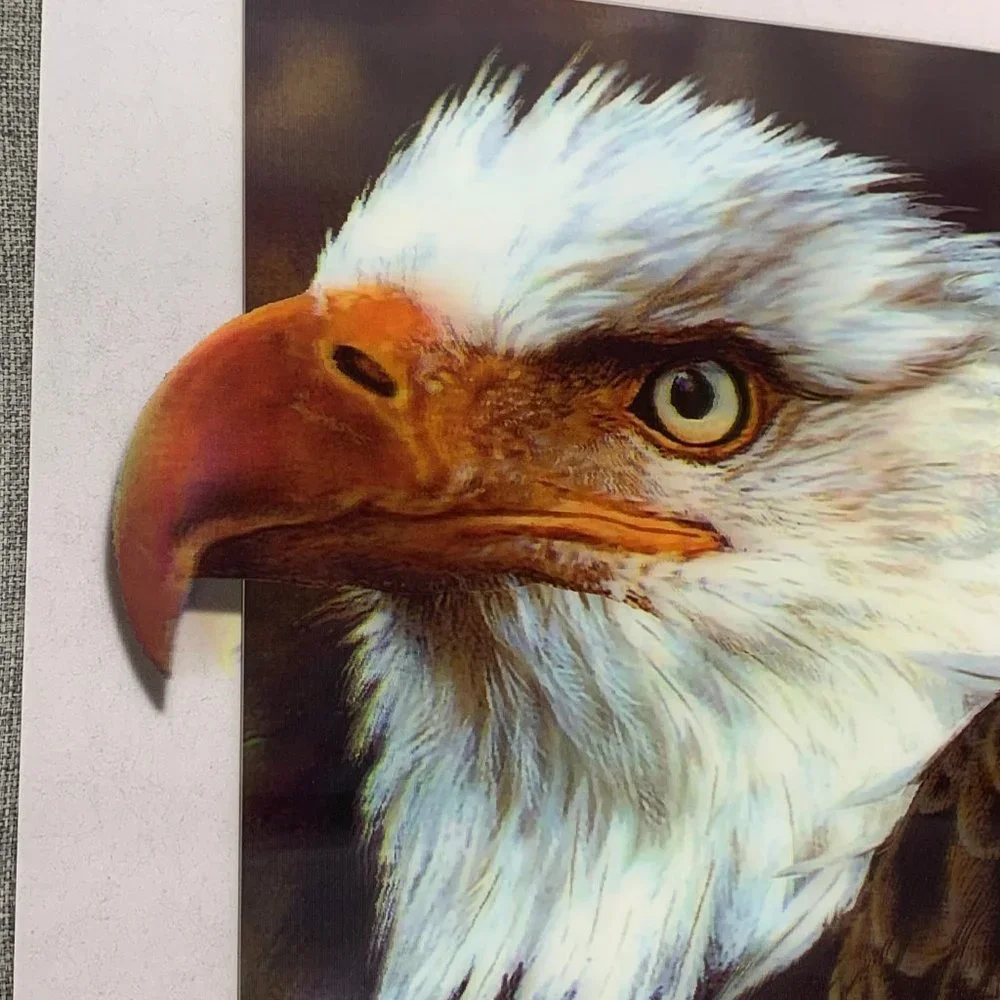 Brand New! Bald Eagle 3D Lenticular Poster 11.5